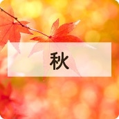 アイコン秋限定