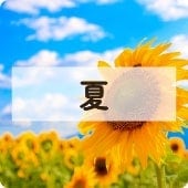 アイコン夏