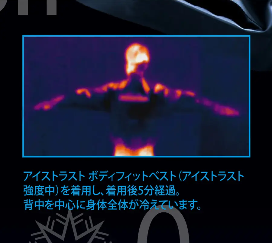 アイストラスト（ICETRUST）サーモグラフィテスト