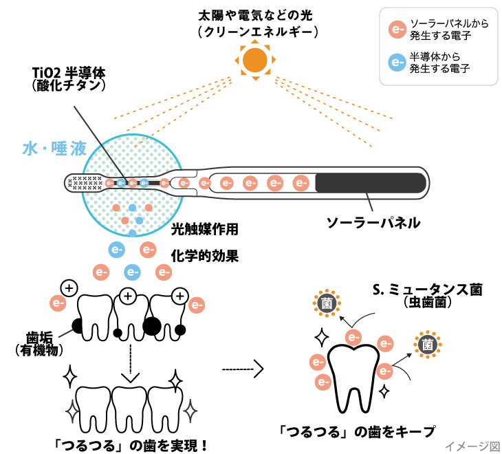 水と光のチカラで、歯垢の取れるしくみ（イメージ図）