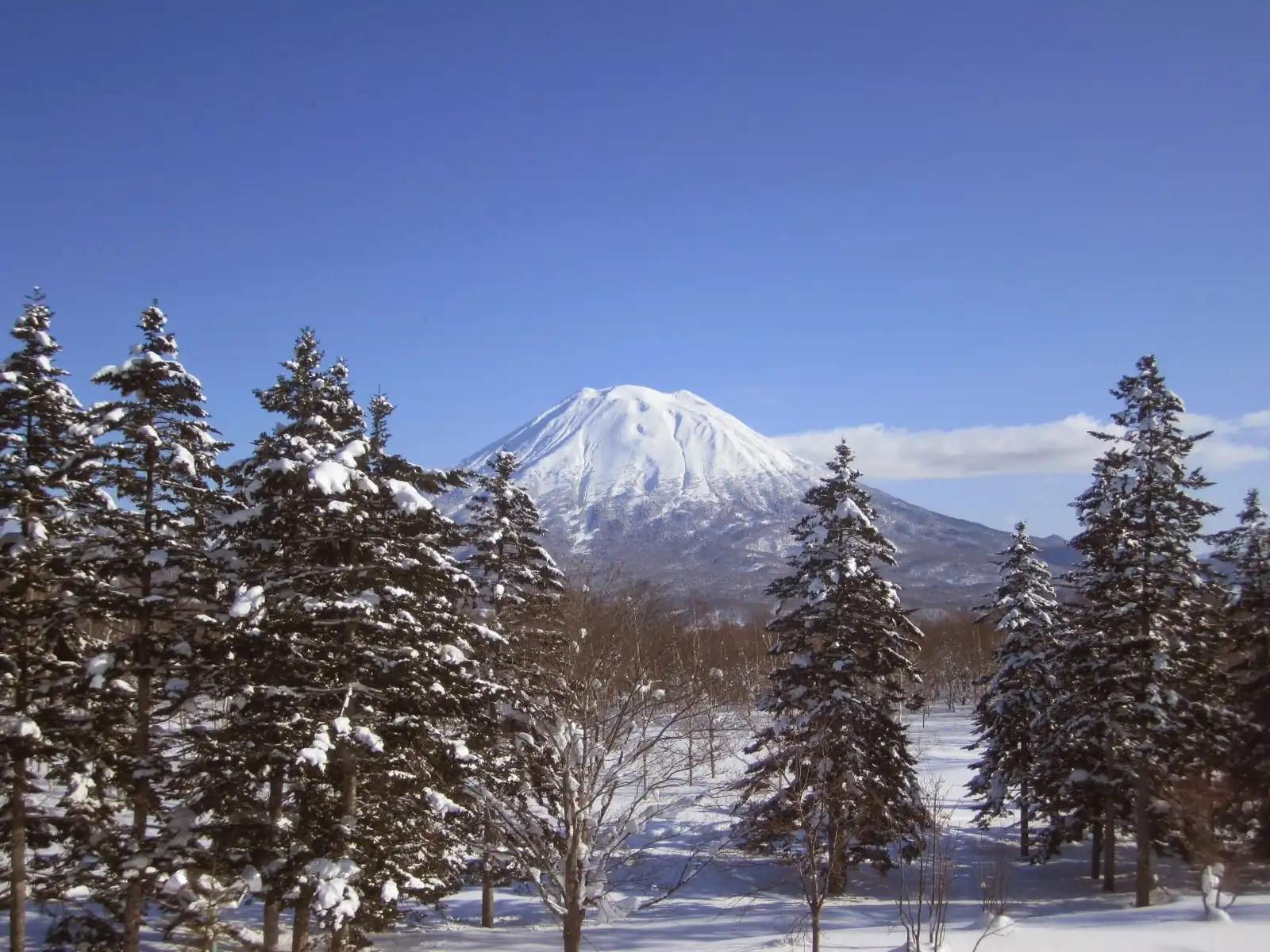 真狩村泉地区