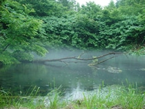 原水の時点で無菌の湧水は、地中深くのパイプを通って、外気に一度も触れることなく工場へ送水されます。