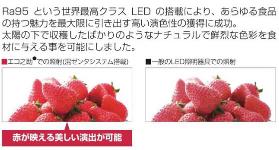 岡村電産（OKAMURA）☆エコ之助 BIG 食品専用LED☆LDR15L-M 精肉・鮮魚用は自然光