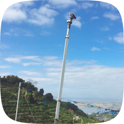 河内みかん堂のみかん畑からの風景