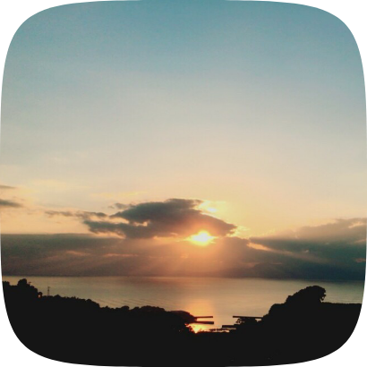 河内みかん堂のみかん畑からの風景