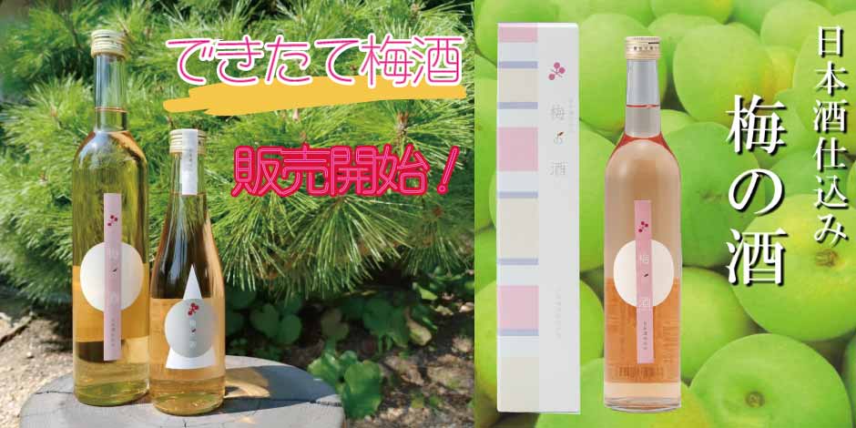 梅の酒