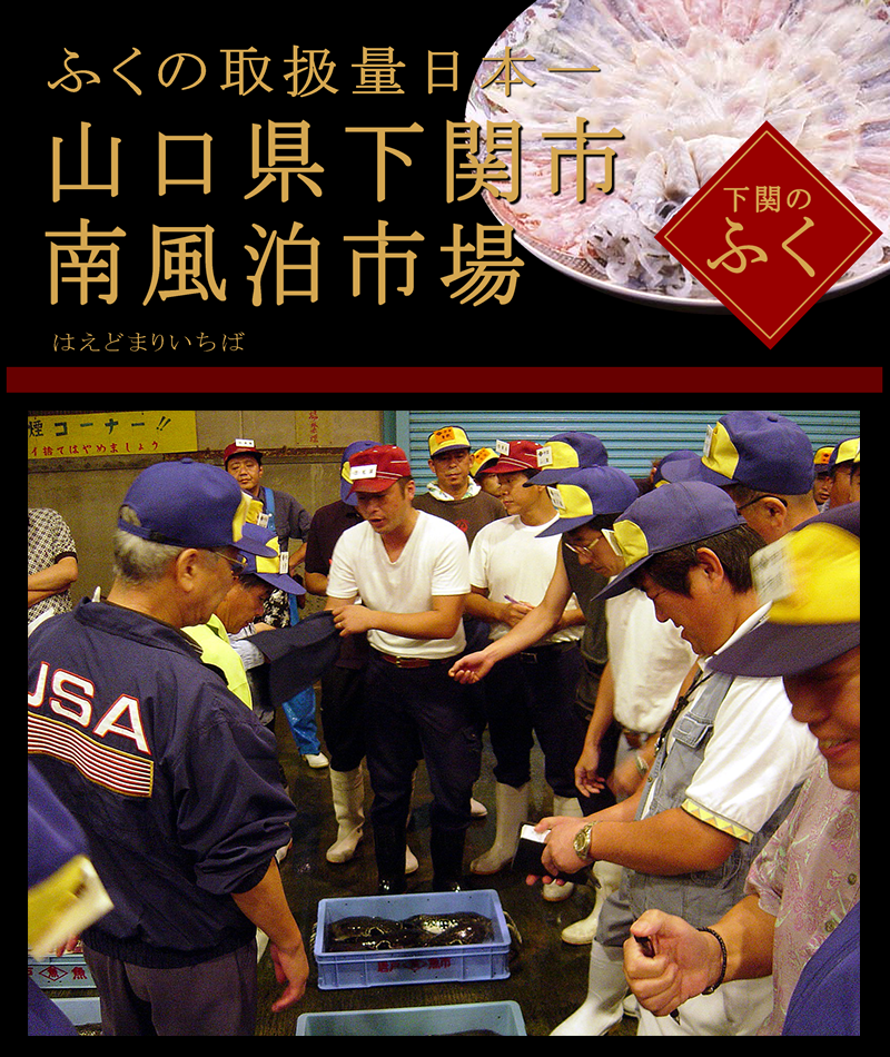 とってもお買い得 ひれ酒ｆｈｆ１２本入り 下関酒造