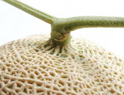 公式オンラインストア 千疋屋総本店｜フルーツギフト