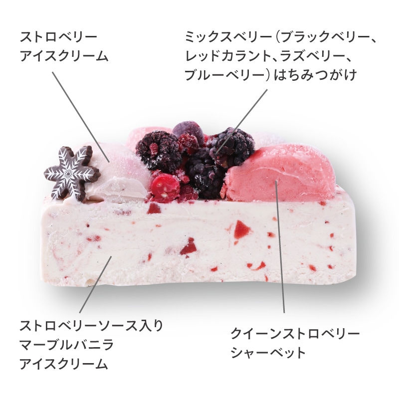 アイスケーキ断面_説明