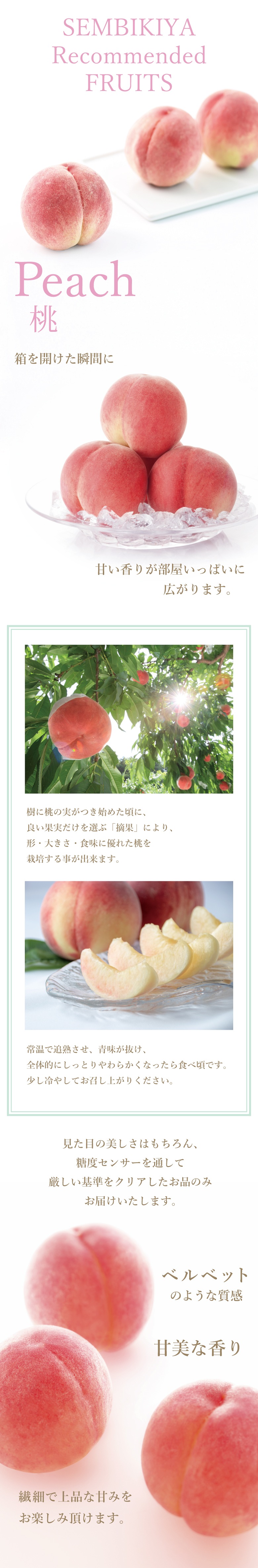 momo様専用 モモ様専用 momoさま専用（momo 様 専用ページ(オーダー