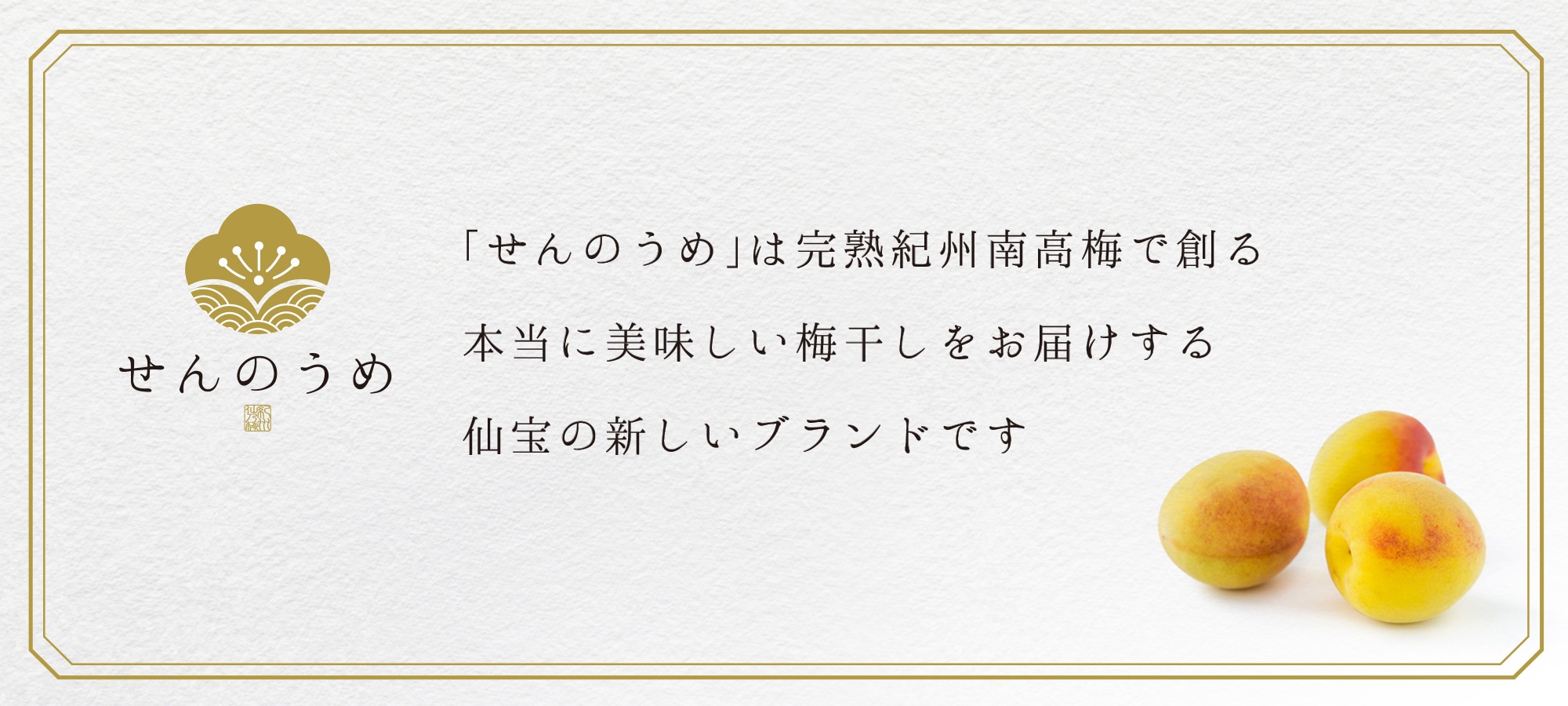 和歌山県田辺の梅干し工房が手がけるブランド『せんのうめ』のイメージ写真