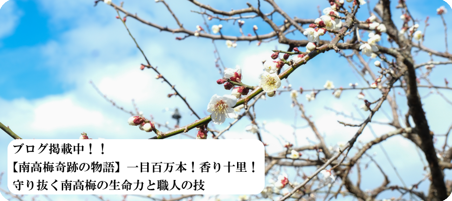 ブログ概要ページ③