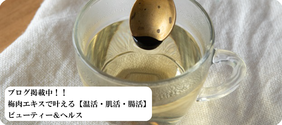 ブログ概要ページ①