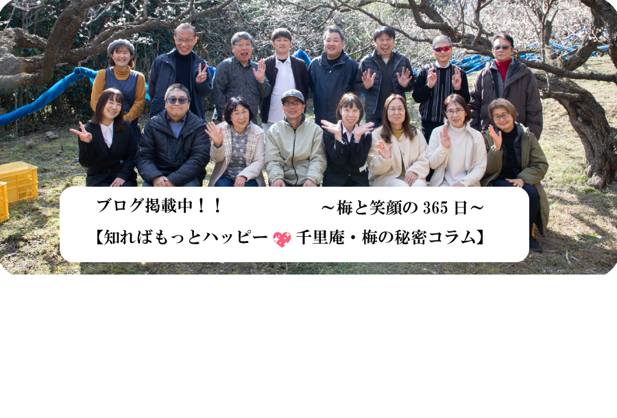 ブログ概要ページ