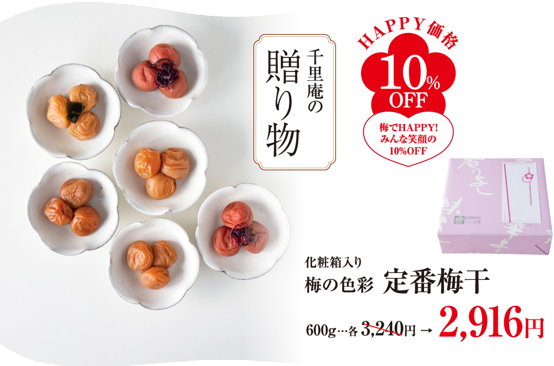 梅の色彩定番600g10%OFF