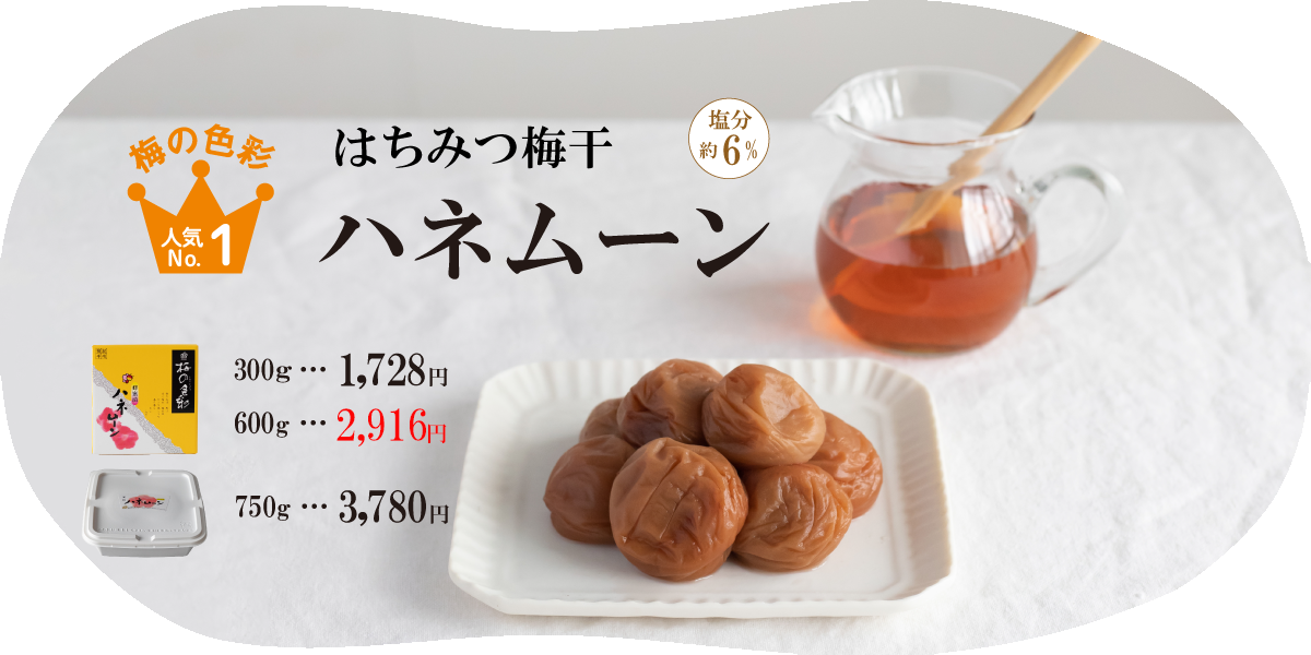 人気No.1梅の色彩 ハネムーン