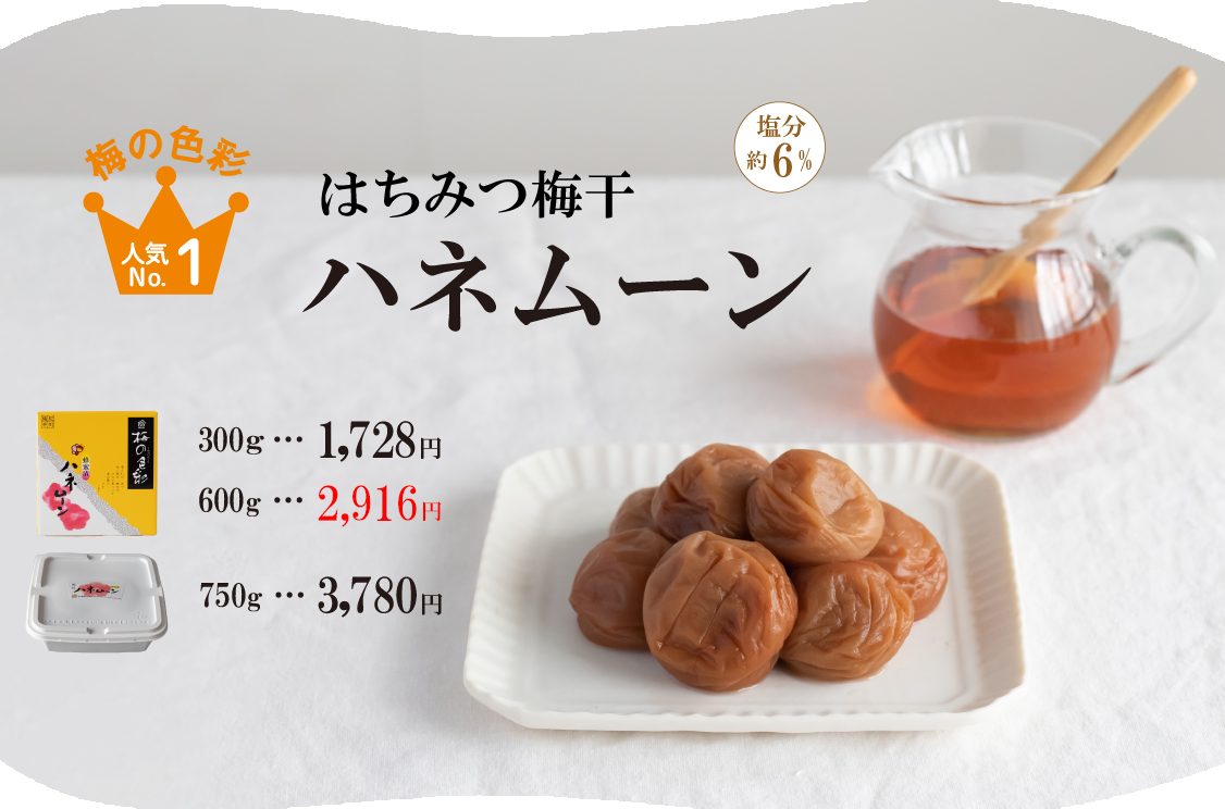 人気No.1 梅の色彩ハネムーン