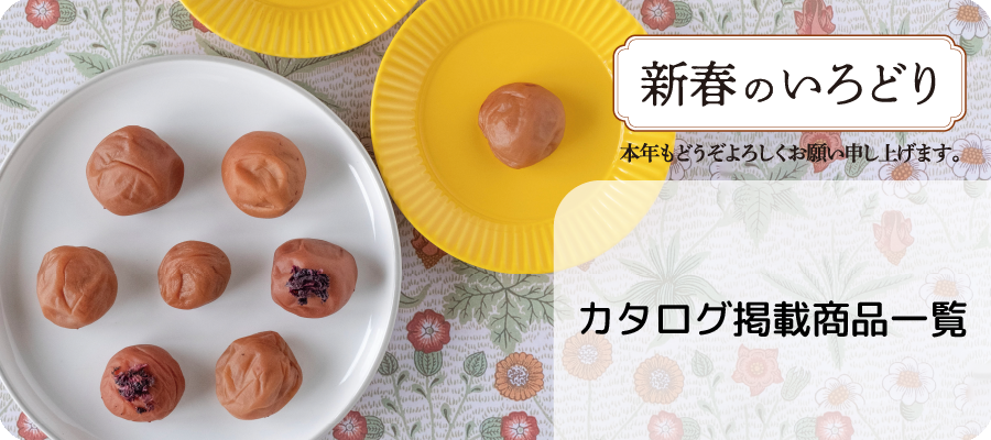 新春のいろどりDMカタログ商品一覧