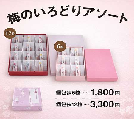 梅のいろどりアソート