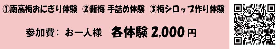 かわら版体験申込