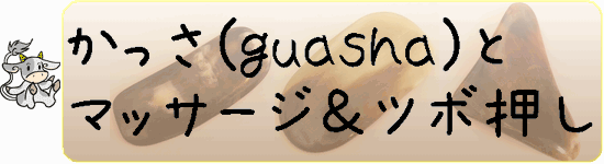 γѤȤää(guasha)ȥޥå