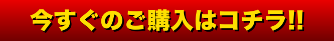 今すぐのご購入はコチラ!!