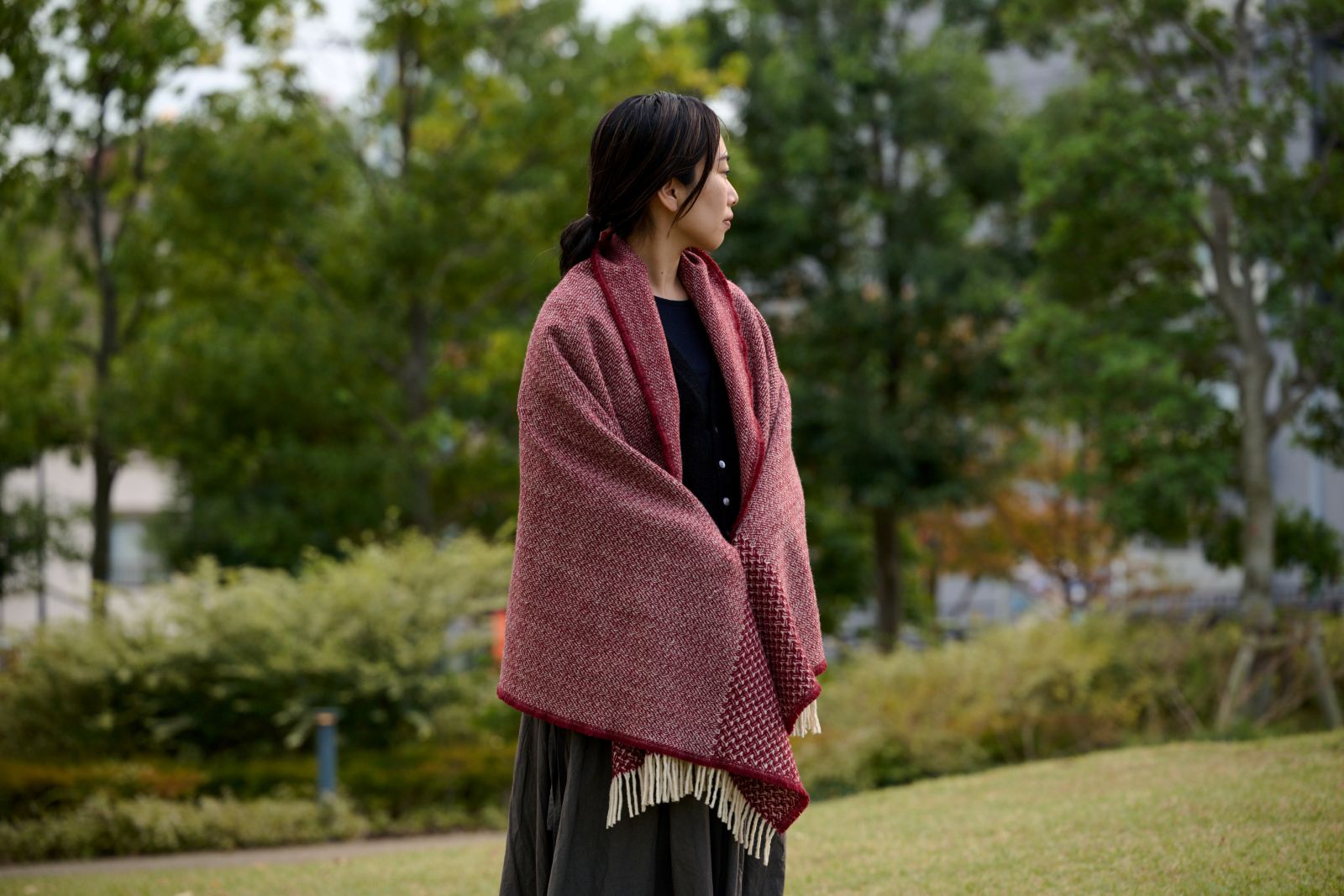 ボルドーイメージ2