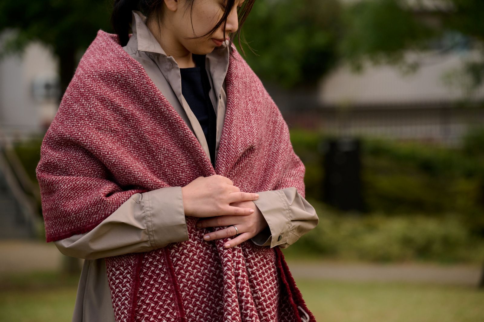 ボルドーイメージ4