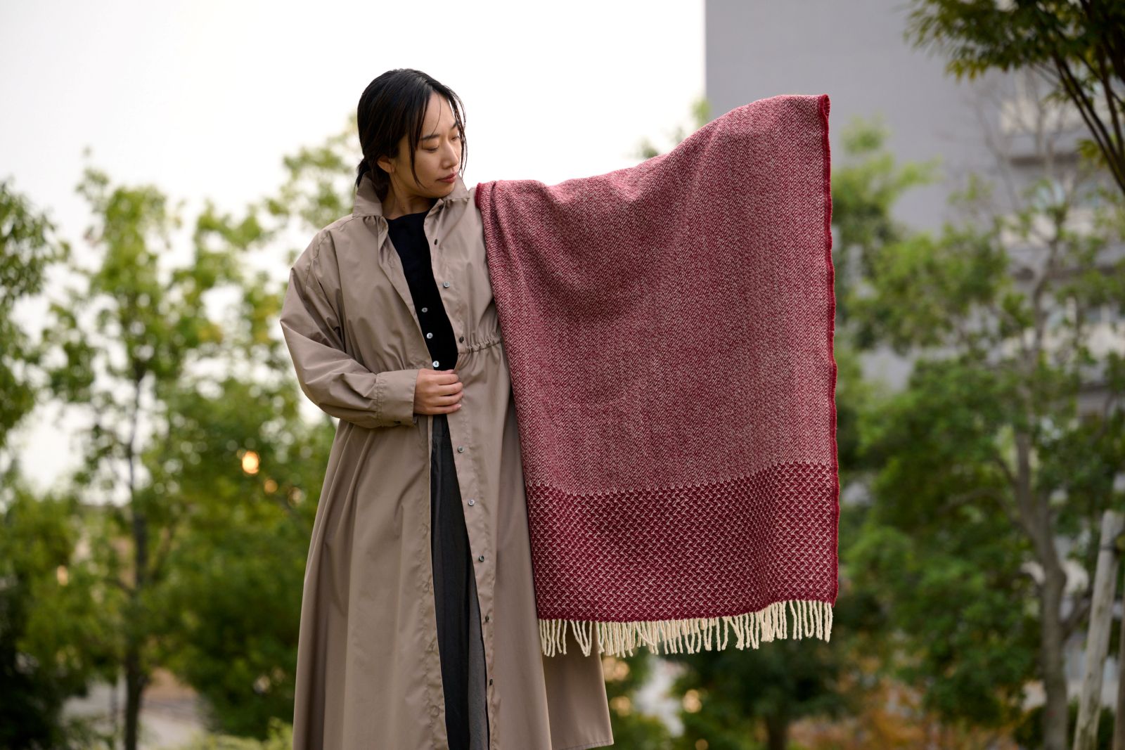 ボルドーイメージ5