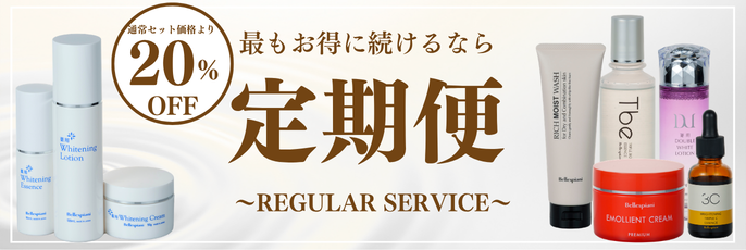 定期便