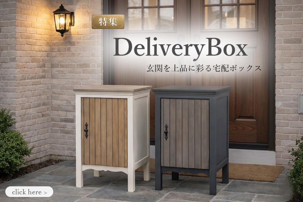 ���ۥܥå���