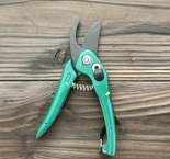 芝桜の増やし方 - 挿し芽 -割り箸・ピンセット