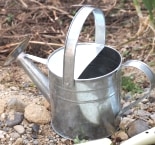 芝桜の増やし方 - 挿し芽 -割り箸・ピンセット