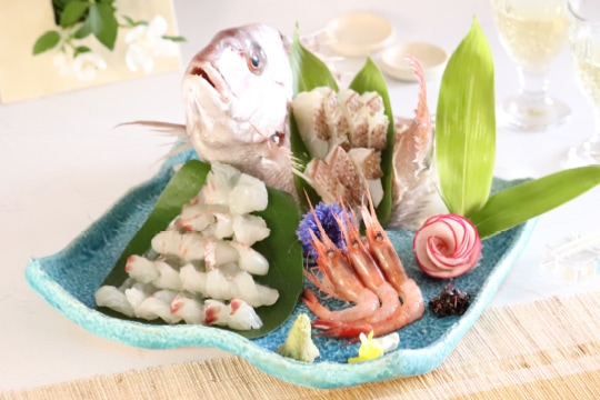 益子焼の器で味わう旬魚のお造り