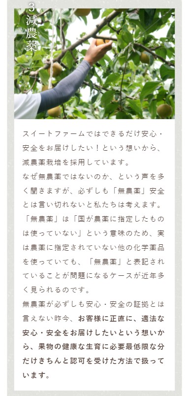 9月中旬～下旬 訳あり 南水 10キロ | くだもの,なし | Su-eat Farm