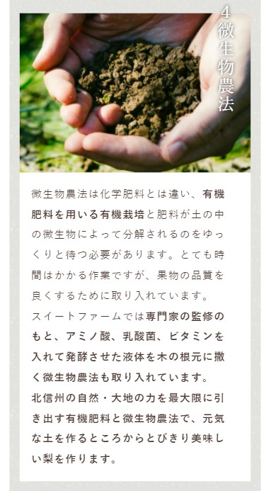 9月中旬～下旬 訳あり 南水 10キロ | くだもの,なし | Su-eat Farm