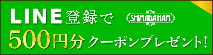 LINE登録で500円分クーポンプレゼント