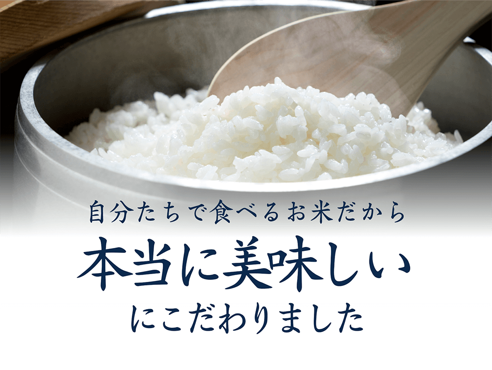 4種 食べ比べおた飯セット 滋賀近江米の通販ならよしだのよいお米