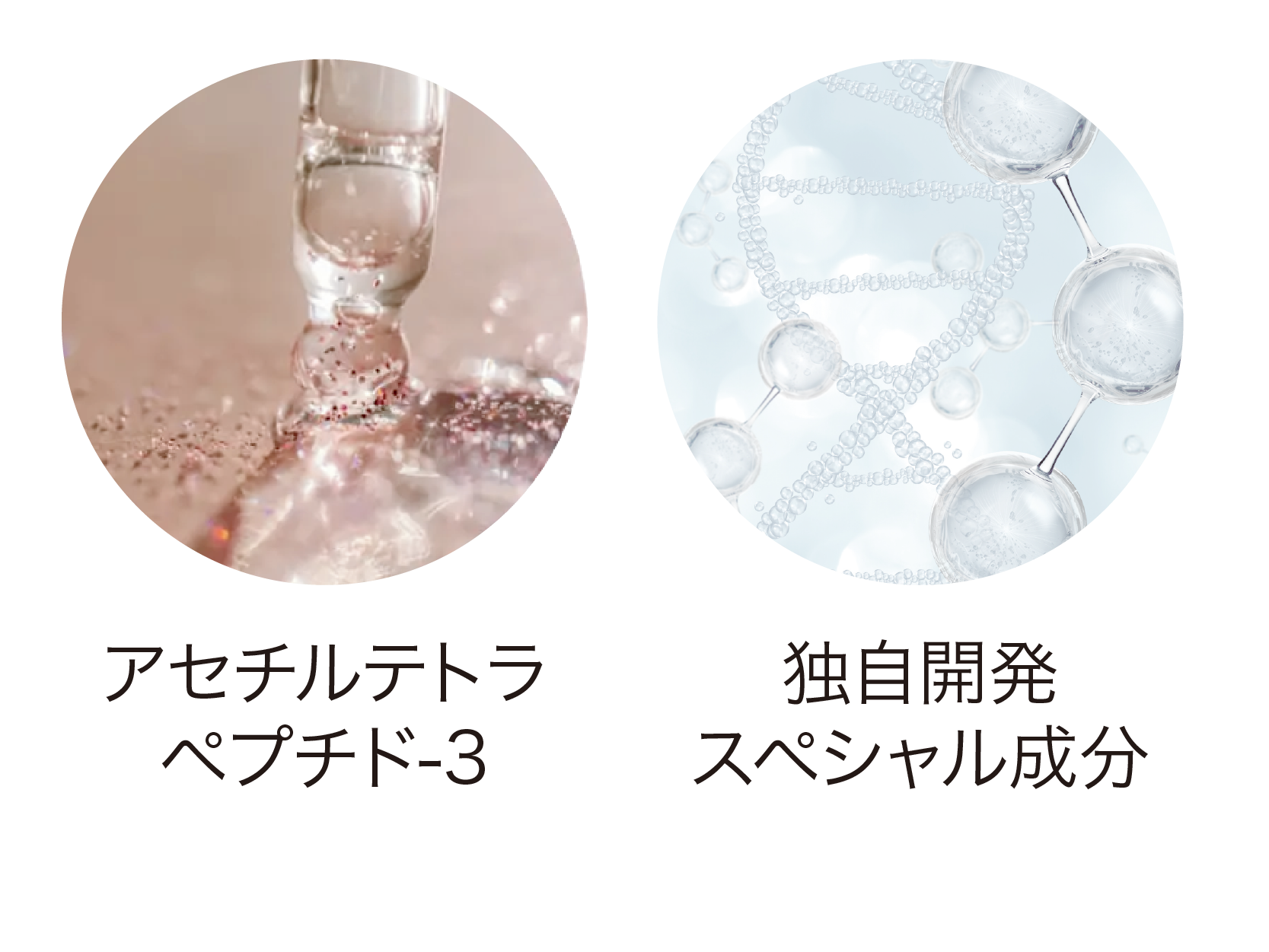 NOBIRU LASH(ノビルラッシュ)｜株式会社シンビシン