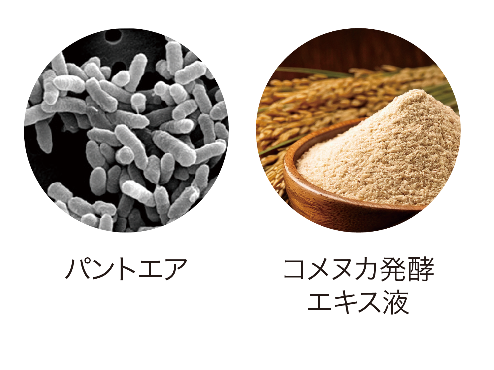 NOBIRU LASH(ノビルラッシュ)