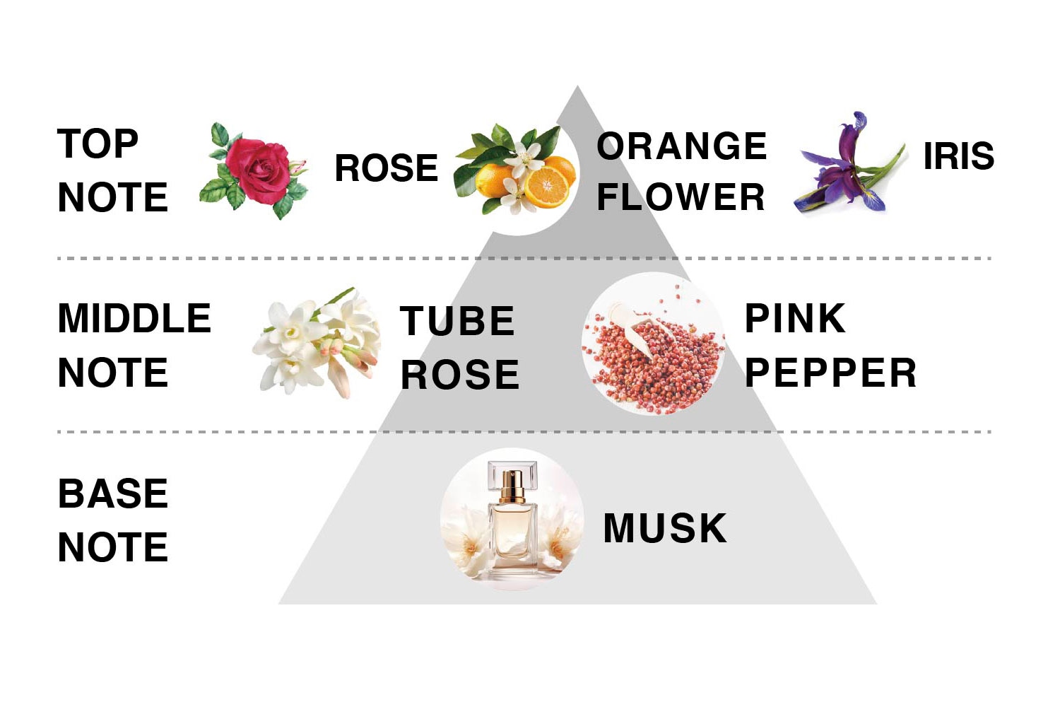 VOYAGERbypobam(ボイジャーバイポバム)｜株式会社シンビシン