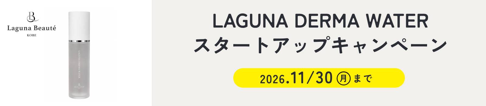 campaign