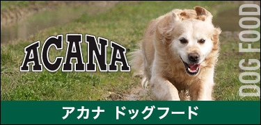 アカナドッグフード