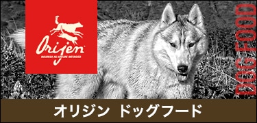 オリジンドッグフード