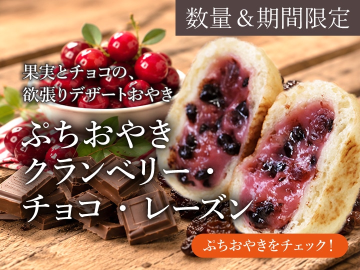 クランベリー　チョコ　レーズン　長野　通販　おやき