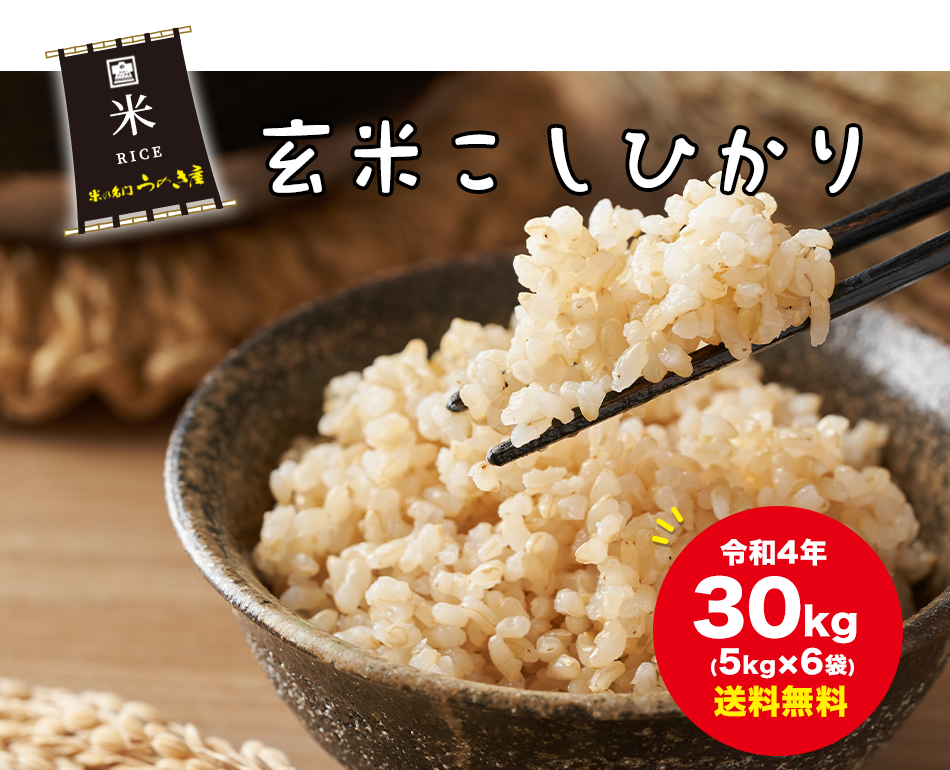 送料無料】＼令和4年産 玄米／コシヒカリ 30kg 山口県産 | 玄米,玄米コシヒカリ | | 米の名門 うのき屋｜ウノキ産業株式会社