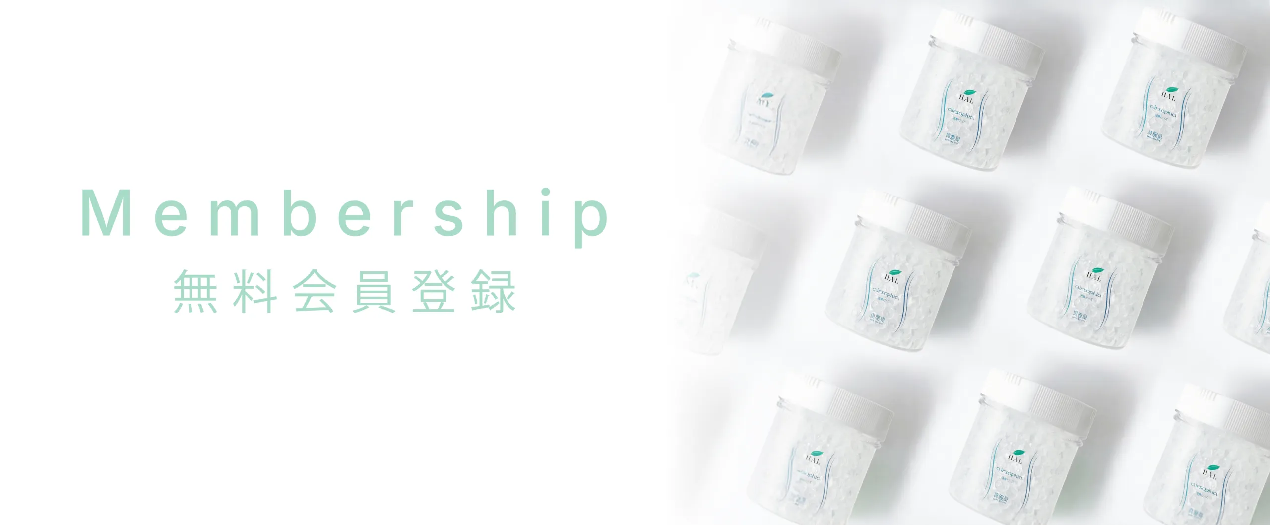 定期便について