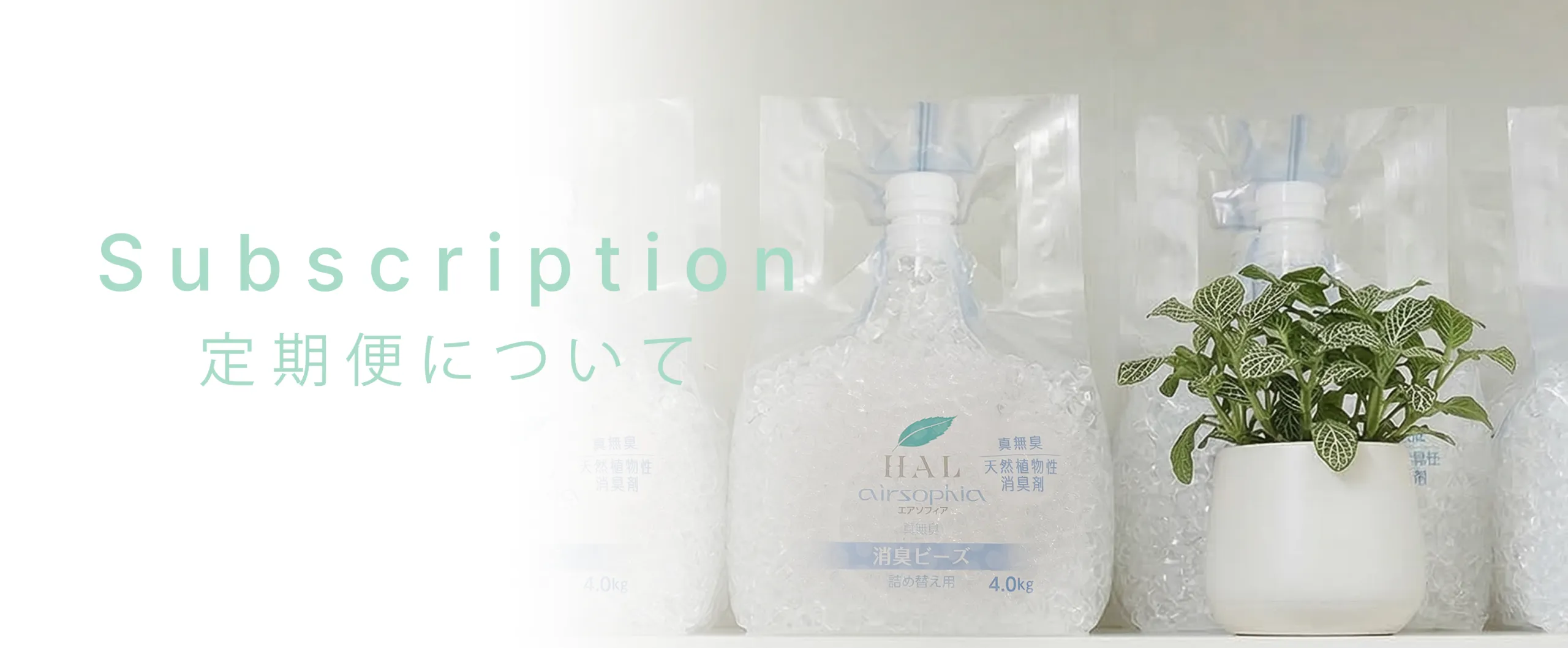 定期便について