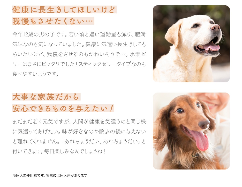 高濃度水素ゼリー犬用 120本入り | 【公式】Shinryo Healthcare