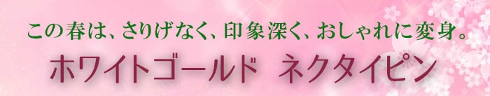 ��������ۥ磻�ȥ�����ɥͥ������ԥ�